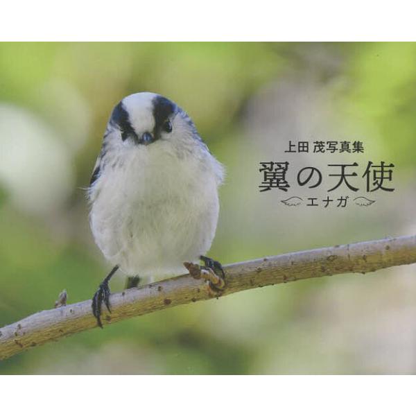 翼の天使エナガ 上田茂写真集/上田茂