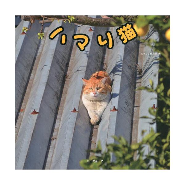 ハマり猫/にゃんこ編集部
