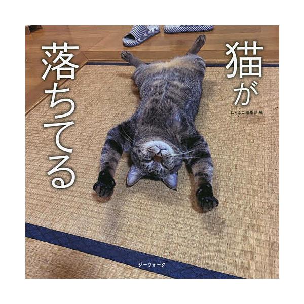 猫が落ちてる/にゃんこ編集部