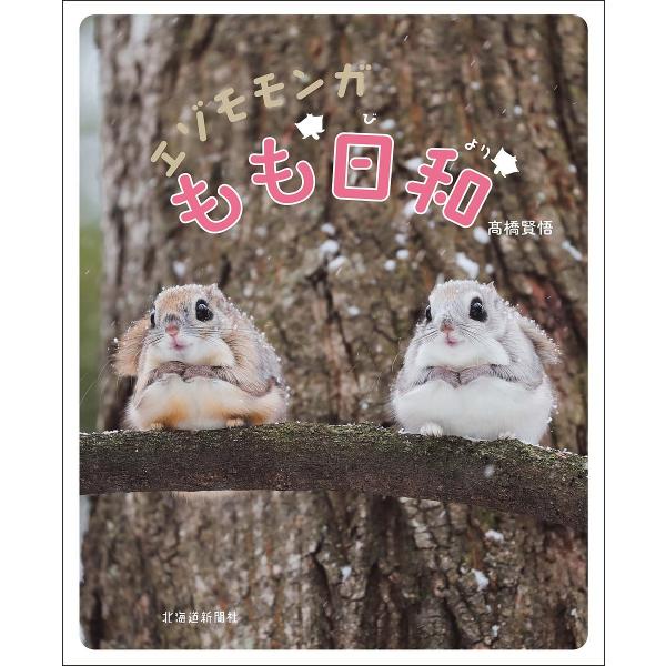 [本/雑誌]/エゾモモンガ もも日和/高橋賢悟/著