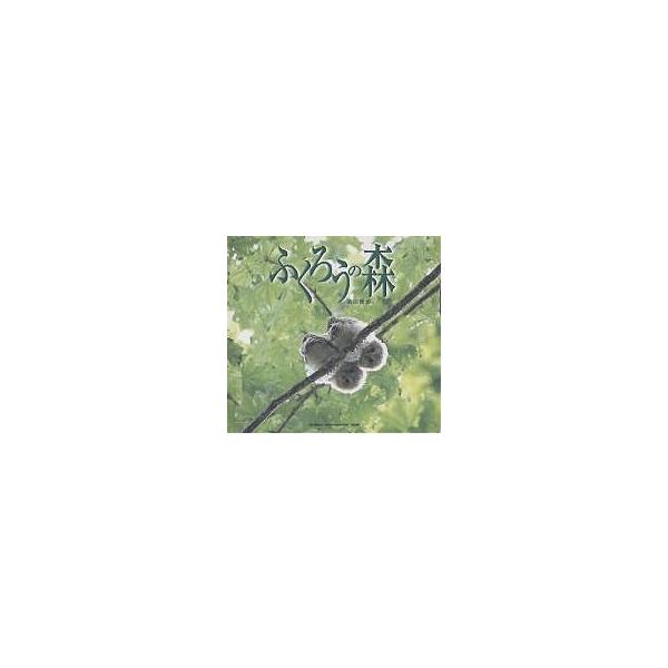 ふくろうの森／横田雅博