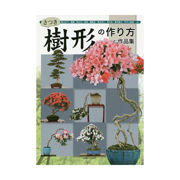 盆栽 寄せ植え 実用 趣味の人気商品 通販 価格比較 価格 Com