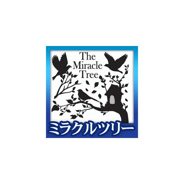 EH[XebJ[ Aj}  ǂԂ V[ k   