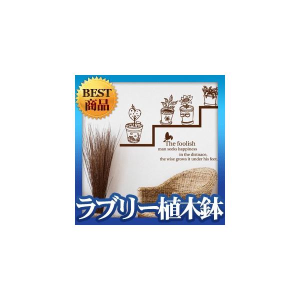 EH[XebJ[ i` V[ u[AؐA