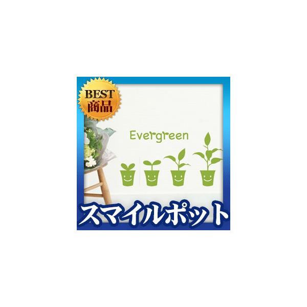 EH[XebJ[  } t c[ V[ ]ʎ k