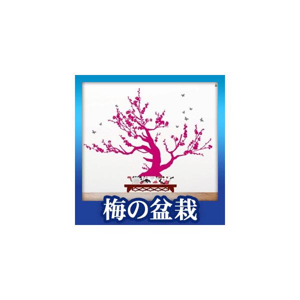 EH[XebJ[ Vv V[ k V[ ~̖~