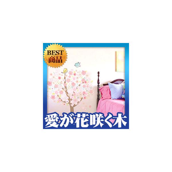 EH[XebJ[ V[ ͂  k ԍ炭