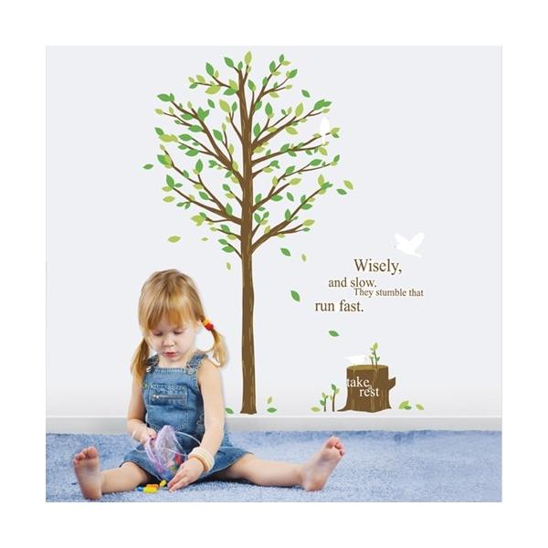 EH[XebJ[   w؂ƒ \Ă͂ ̂ ǎV[ EH[V[ A  