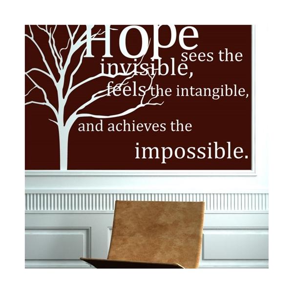 EH[XebJ[  } t c[ V[ ]ʎ k