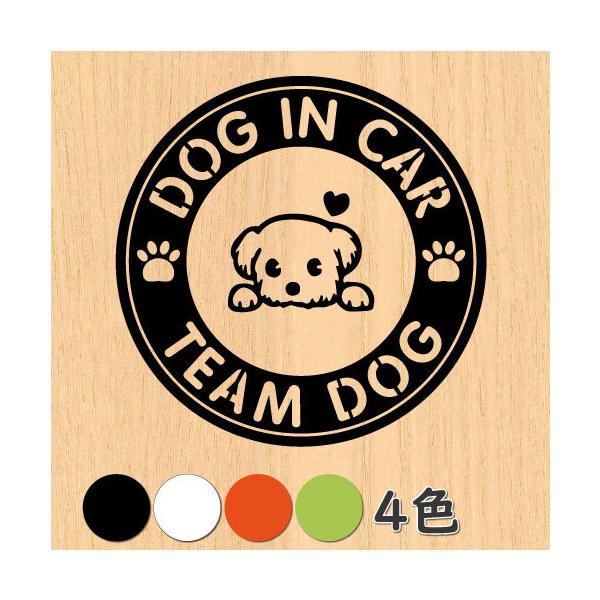 EH[XebJ[  hbO dog in car  q   ybg V[ T[N ~^