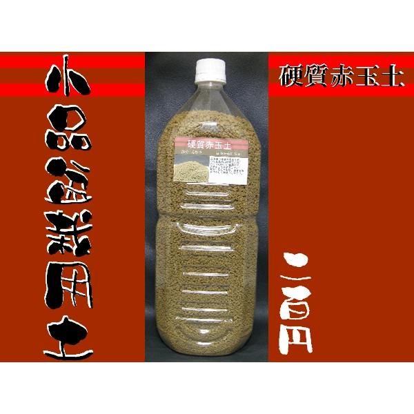 小品盆栽用土 硬質赤玉土 二本線 細粒 2l Hgd004 鉢や 暮路空 通販 Yahoo ショッピング