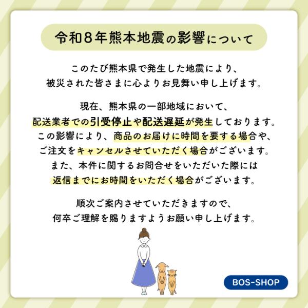 ���ق� �h�L�� BOS ( �{�X ) �X�g���C�v�p�b�P�[�W L�T�C�Y 90���� �������� ���i�摜1