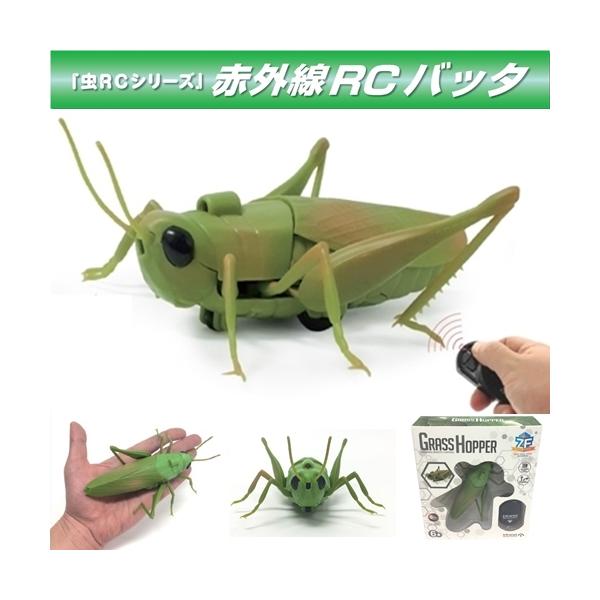 虫 ラジコン ホビーの人気商品 通販 価格比較 価格 Com