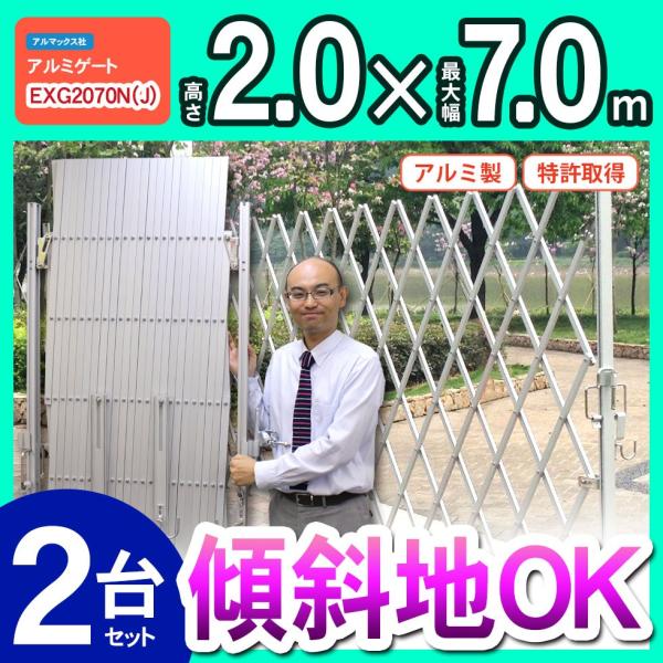 伸縮門扉 門扉 フェンス アルミゲート EXG2070 両開き 2台セット