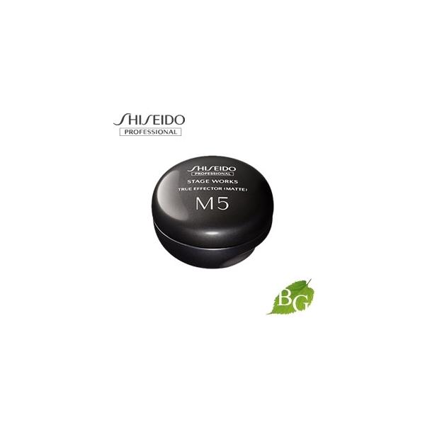 資生堂 ステージワークス トゥルーエフェクター M5 (マット) 80g
