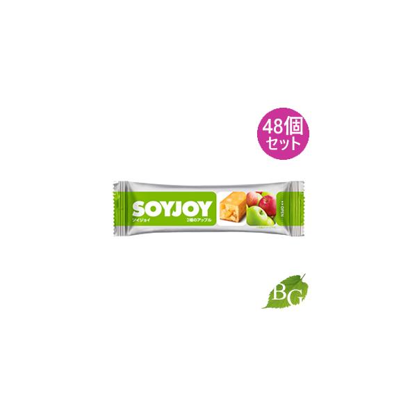 ː \CWC SOYJOY 2̃Abv 48Zbg