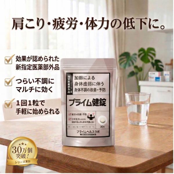 プライム健錠 プライム製薬 ビタミンB1 B6 疲労回復 滋養強壮 栄養補給 30錠 指定医薬部外品