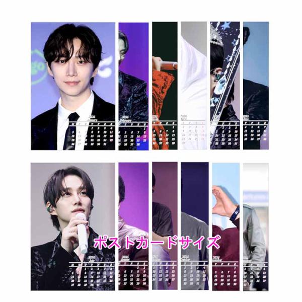 イ・ジュンギ ポストカード まとめ売り イジュノ イ・ジュノ ポストカードサイズ はがきサイズ 2026年暦付き