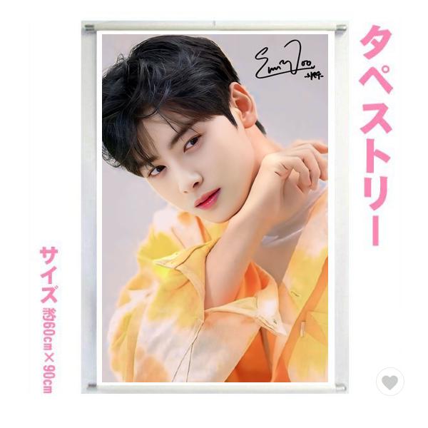 チャウヌ chaeunwoo アストロ 60cm×90cmサイズ タペストリー tape4