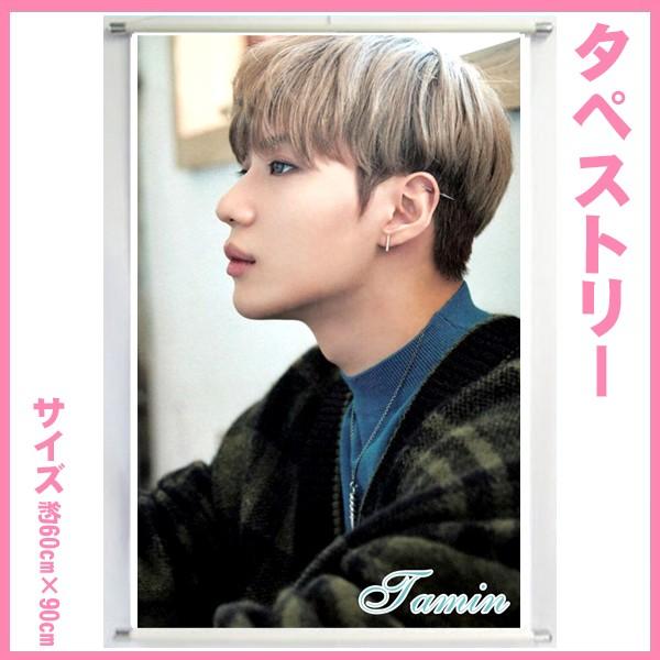 SHINEE タペストリー テミン 送料無料☆SHINee TAEMIN テミン 28cm×31cm タペストリー