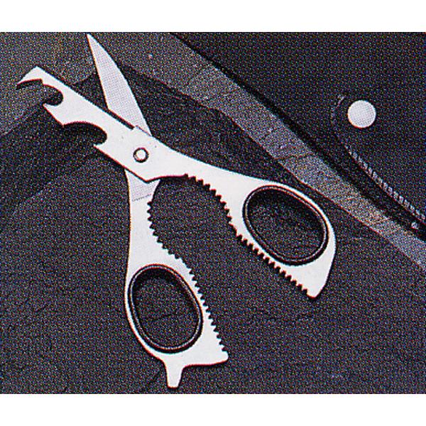 \͂݃}`nT~8 hЃObY [M 1/1]