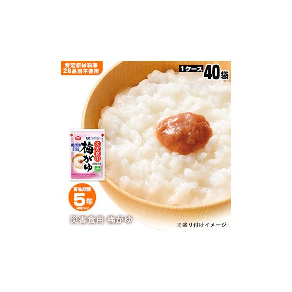 H ۑH ЊQHp~200g Xv[t 40ܓ~  Tc Hi ~H ۑ KvȂ hЃObY