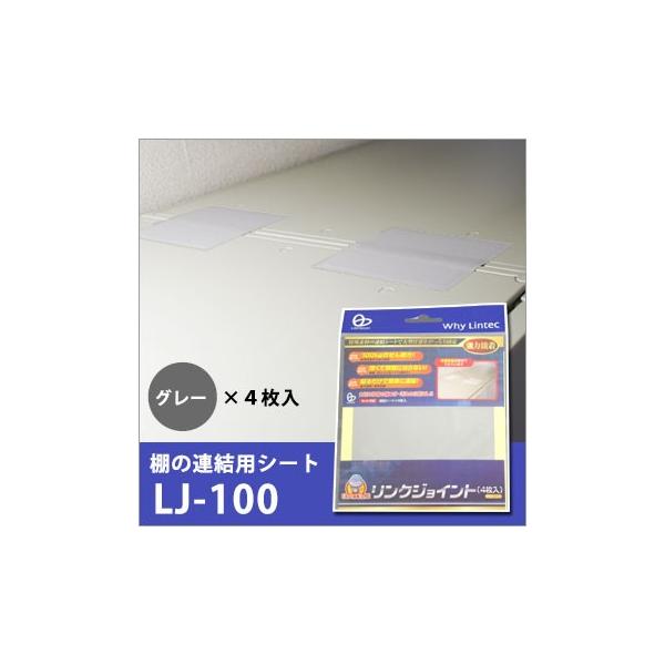 ϐkObY Ƌ]|h~  NWCgV[g LJ-100  4[ hЃObY M 1/10]