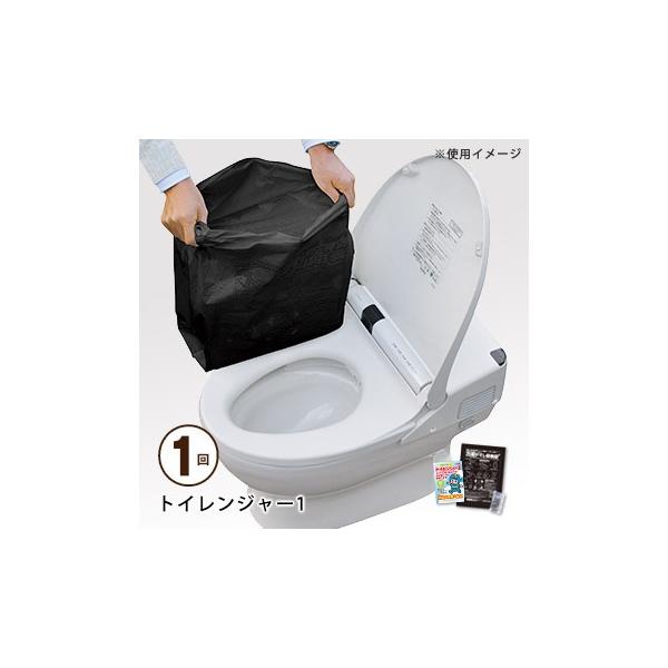 ȈՃgC h p gCW[1×1 hЃObY ЊQ ֑[M 1/4]