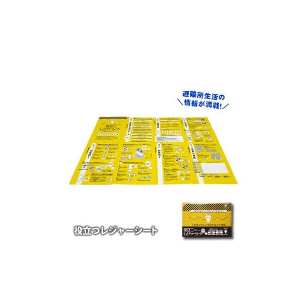 𗧂W[V[g 900×600mm SV[g ЊQ~ hЃObY [M 1/3]