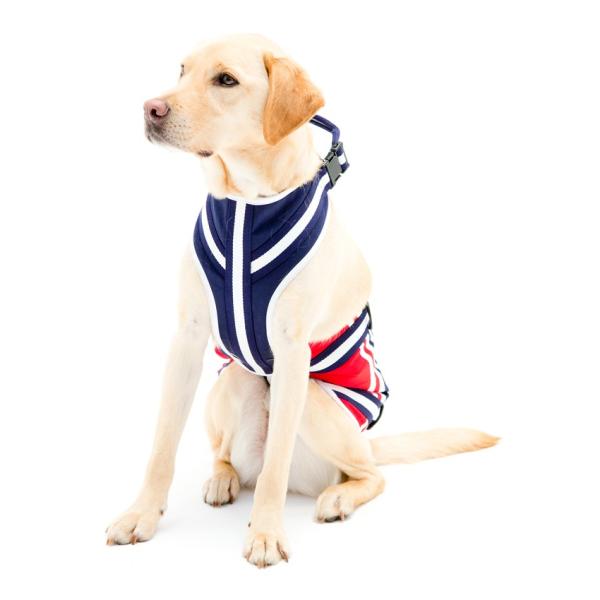 犬 歩行補助ハーネス Lalawalk 大型犬用 介護 ハーネス 散歩補助 かわいい 2ta0019 85 トリコロール ブルー Buyee Buyee Japanese Proxy Service Buy From Japan Bot Online