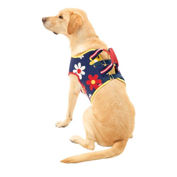 犬 介護用 Lalawalk 介助ベスト ハッピーフラワー 紺 赤ストライプ 柄 2ta0052 大型犬 中型犬 歩行補助ハーネス 犬用介護用品 ララウォーク Buyee Buyee Japanese Proxy Service Buy From Japan Bot Online