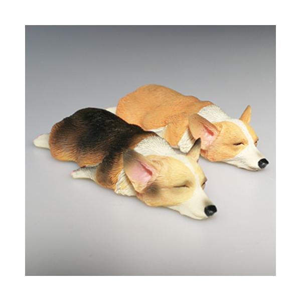 短い脚を投げだして思い思いの格好で寝ているコーギーのマグネットです。ポリレジン製のため耳などが割れやすくなっております。取り扱いにはご注意ください。color：茶／黒（トライカラー）Size ： D25〜29mm×W55mm※ディスプレイに...