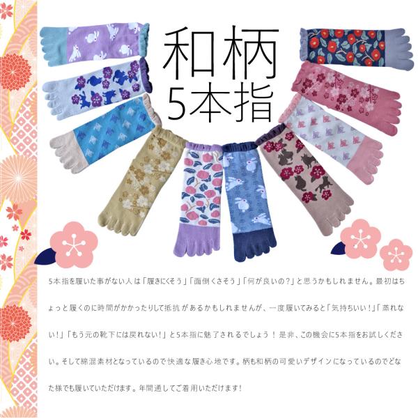 【新品未使用】鮒楽　指月　知妙　10.5尺 楽天市場】【先着50名☆半額クーポンで980円～】センサーライト