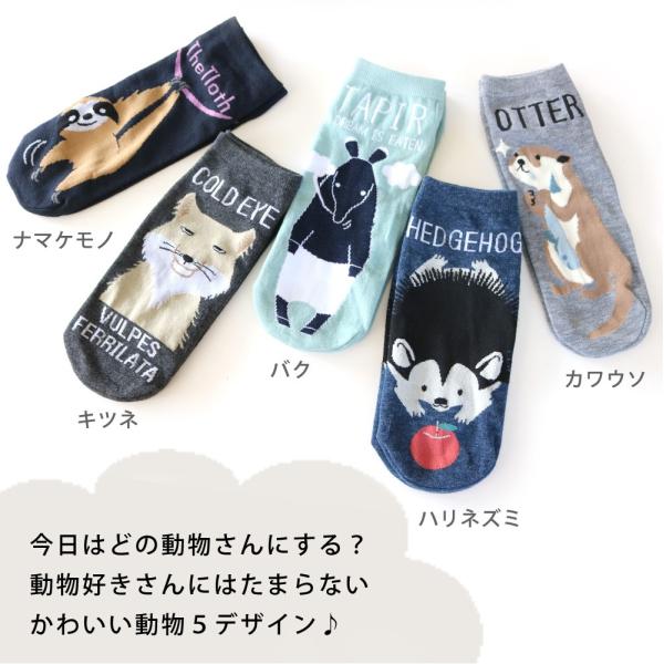 靴下 レディース くるぶし丈 アニマルフロントデザイン モノトーン 動物柄 アンクルソックス 10足セット 綿混 ギフト 送料無料 Buyee Buyee Jasa Perwakilan Pembelian Barang Online Di Jepang