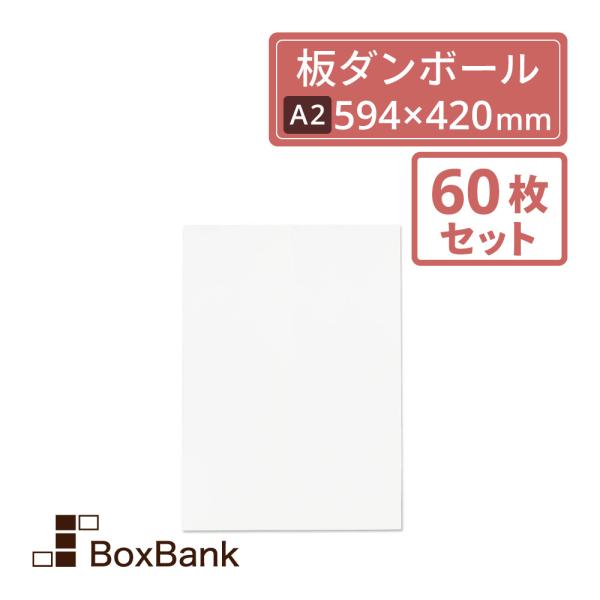 白板ダンボール 板段ボール （ダンボールシート）1.5mm厚　A2　594×420mm　60枚セット 工作・看板・梱包用　送料無料