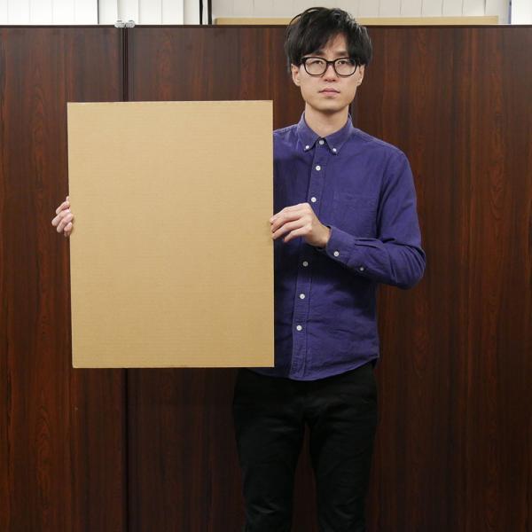 板ダンボール 板段ボール ダンボールシート 5mm厚 ワイド 640 490mm 枚セット 工作 看板 梱包用 毎日出荷 Buyee Buyee Japanese Proxy Service Buy From Japan Bot Online