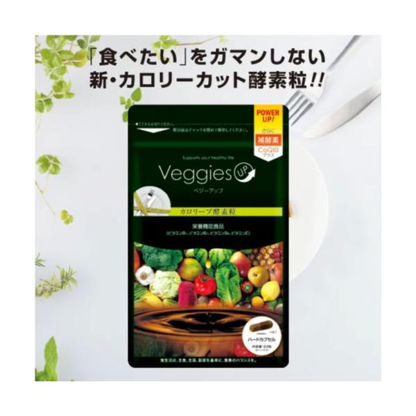 ダイエット 炭 酵素 カロリーカット サプリ ベジーアップ 酵素粒 カロリーブ 93粒 Buyee Buyee Japanese Proxy Service Buy From Japan Bot Online