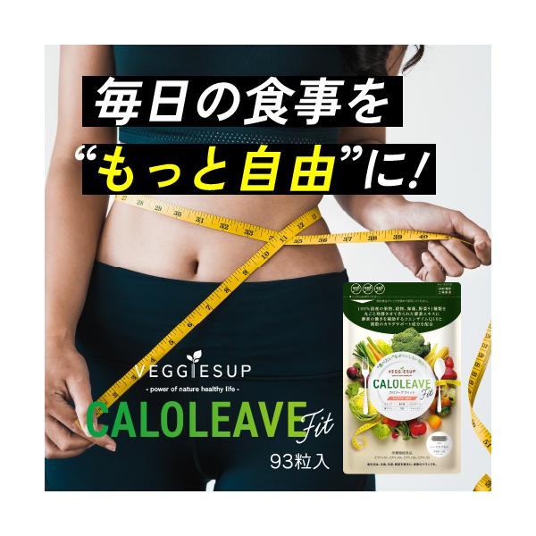 ダイエットサプリ ベジーアップ カロリーブフィット酵素粒93粒 効果 カット 減らす 燃焼 口コミ カロリー サプリ 脂質 糖質 体脂肪 血糖値 酵素 炭 Lカルニチン