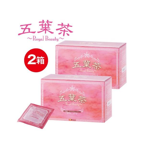 _CGbg _CGbgeB[ ܗtCr[eB[ 30 2Zbg _CGbg XbL ֔    h ǂ XbL n[ueB[