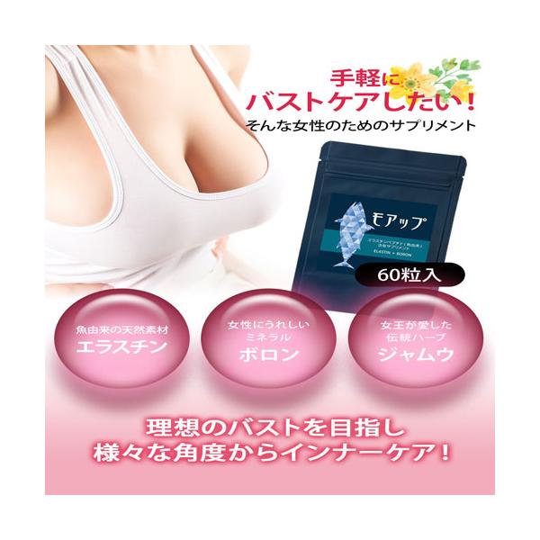 モアップ　プレゼント用　