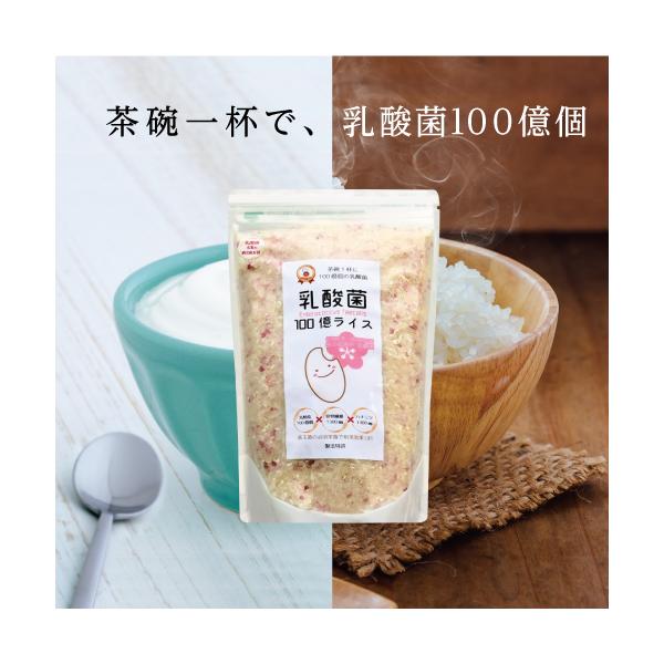 お茶碗一杯で乳酸菌100億個！？ 乳酸菌100億ライス 無洗米 美容米 健康米 コメ こめ 国産 オリゴ糖 乳酸菌 蜂蜜 送料無料