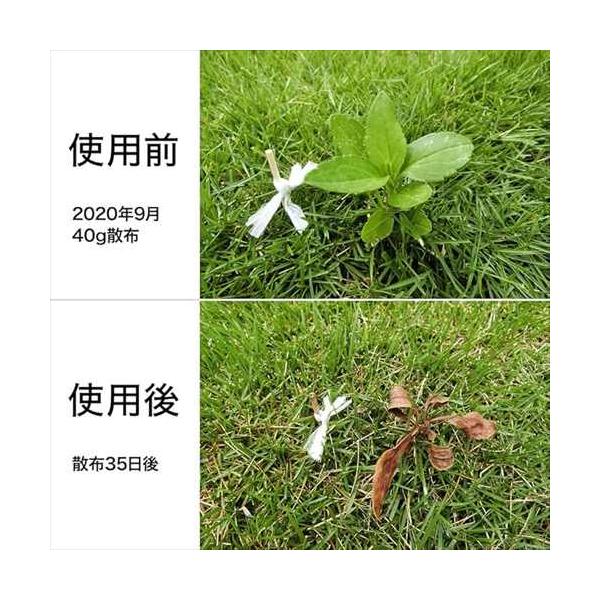 bp-s_4903471101800-2_4_d_20250409134935