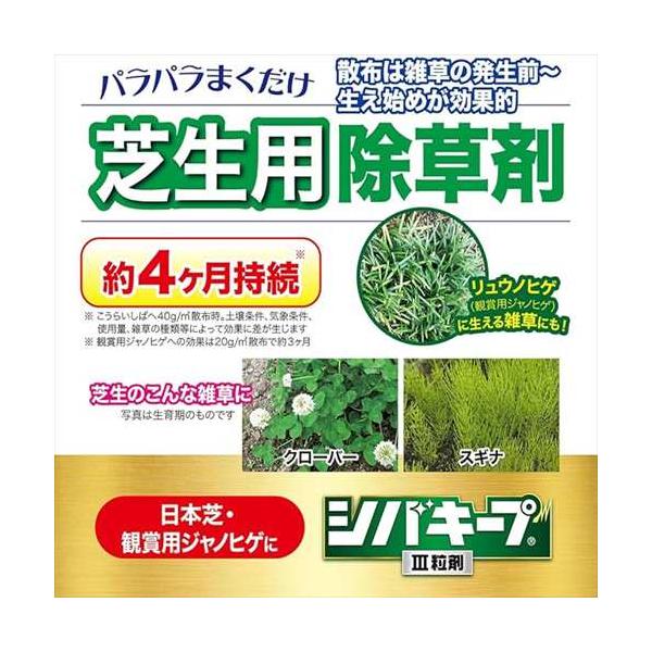 bp-s_4903471101800_3_d_20250409134932