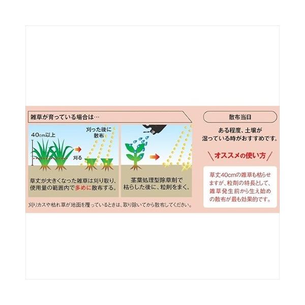 bp-s_4903471102678-2_2_d_20250409134935