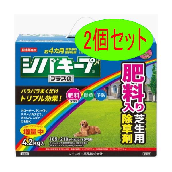 【2個セット】レインボー薬品 除草剤 シバキーププラスα 4.2kg 予防 肥料 芝生 雑草　ガーデニング　除草　芝生　芝管理　顆粒　まくだけ