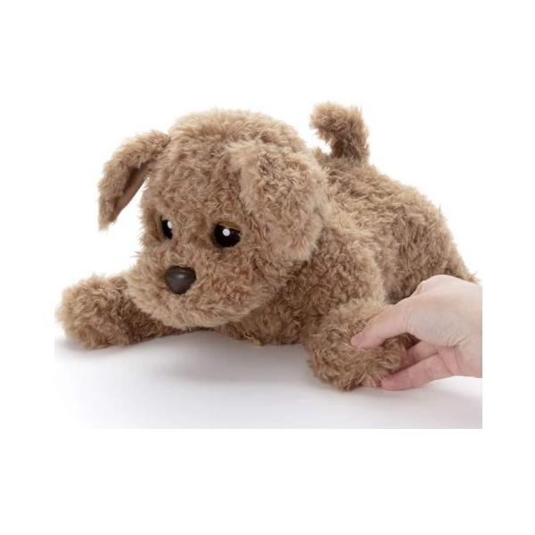 bp-s_4904790249341_1