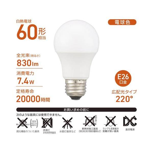 bp-s_4971275631533_2_d_20260210144726