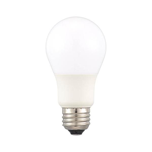 bp-s_4971275654532_1_d_20260210155520