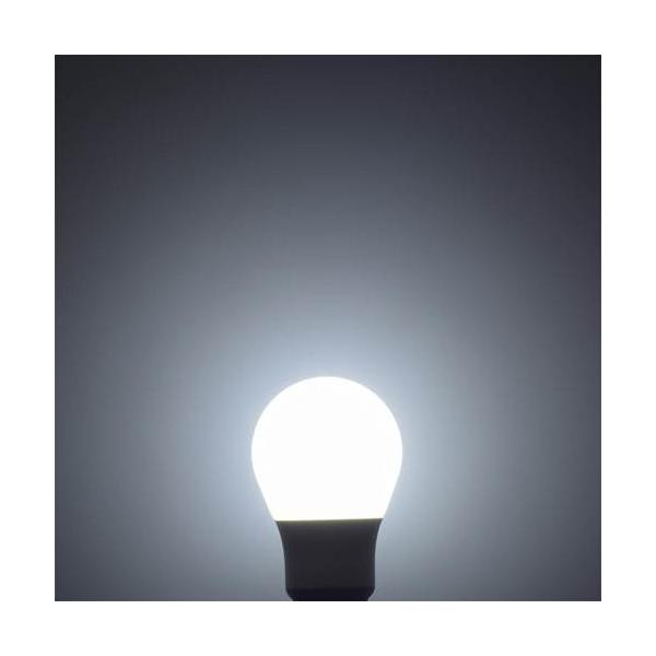 bp-s_4971275654532_2_d_20260210155525