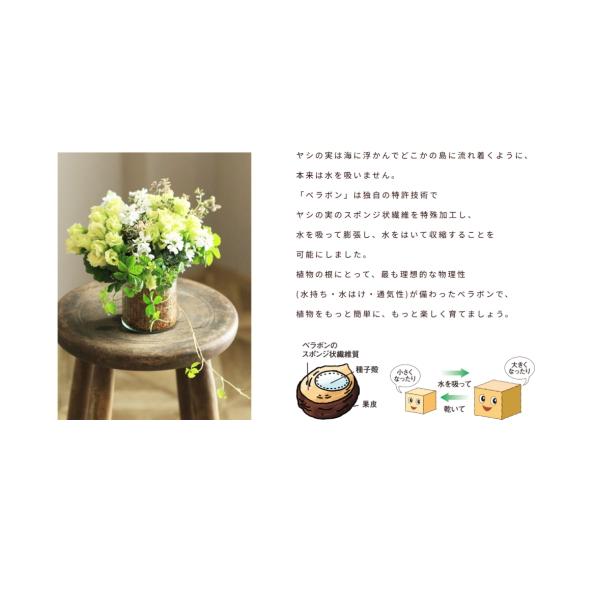 bp-s_4976568151507_5_d_20251020151714